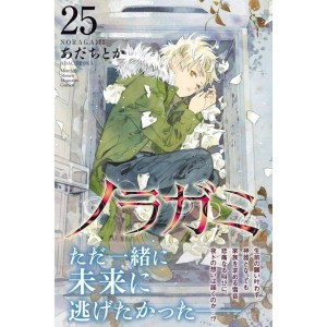 NORAGAMI vol. 25 - Edição Japonesa